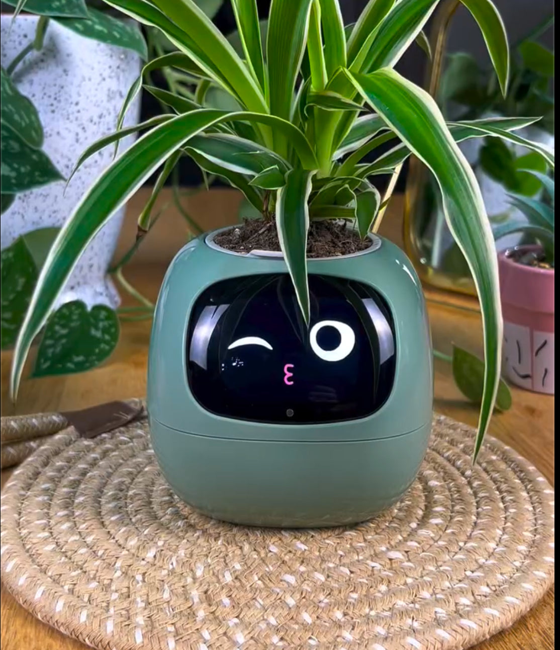 PlantBuddy AI 🌿🤖 – Your Smart Plant Companion!