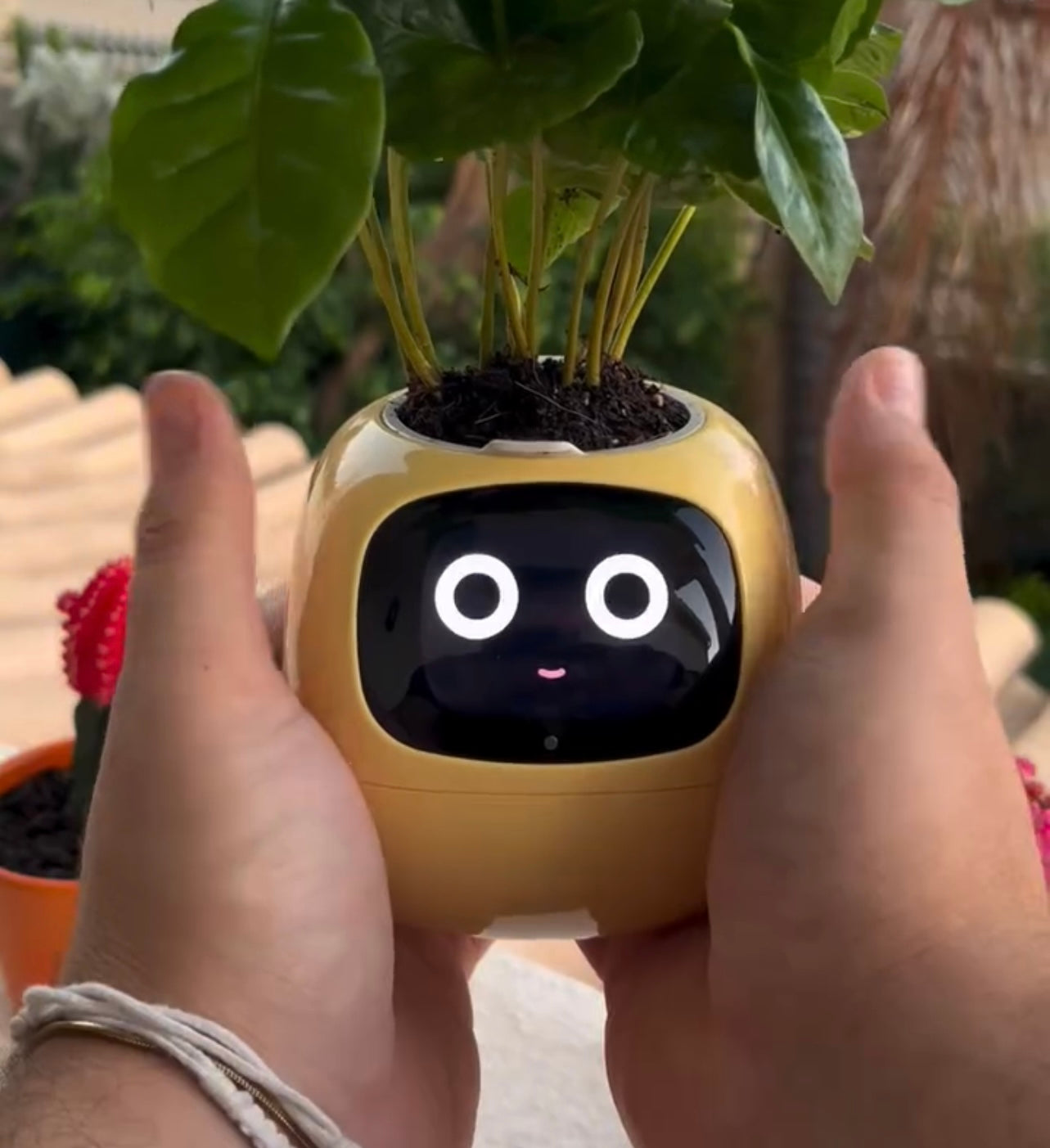 PlantBuddy AI 🌿🤖 – Your Smart Plant Companion!