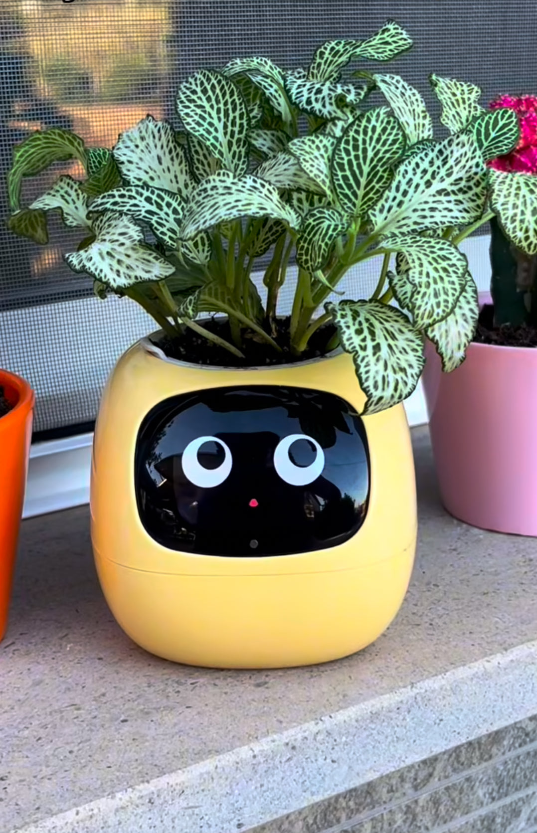 PlantBuddy AI 🌿🤖 – Your Smart Plant Companion!