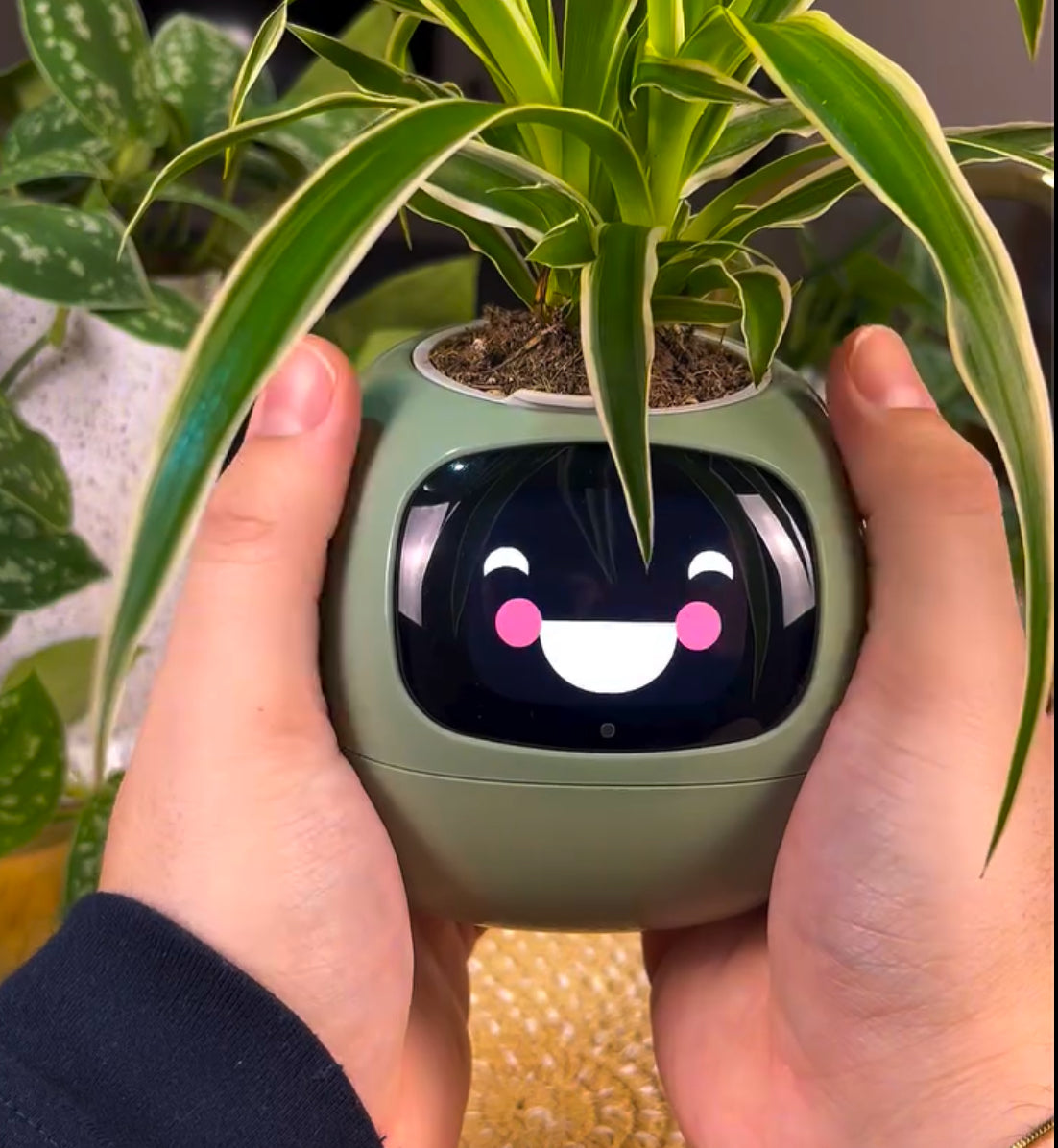 PlantBuddy AI 🌿🤖 – Your Smart Plant Companion!