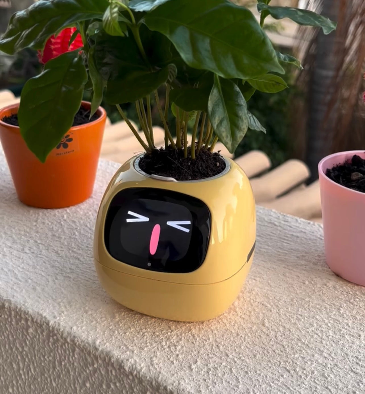 PlantBuddy AI 🌿🤖 – Your Smart Plant Companion!