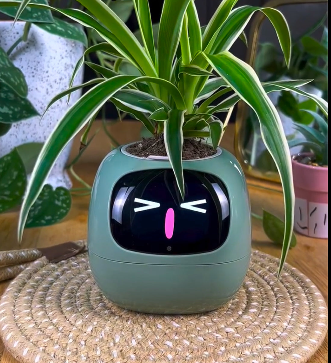 PlantBuddy AI 🌿🤖 – Your Smart Plant Companion!