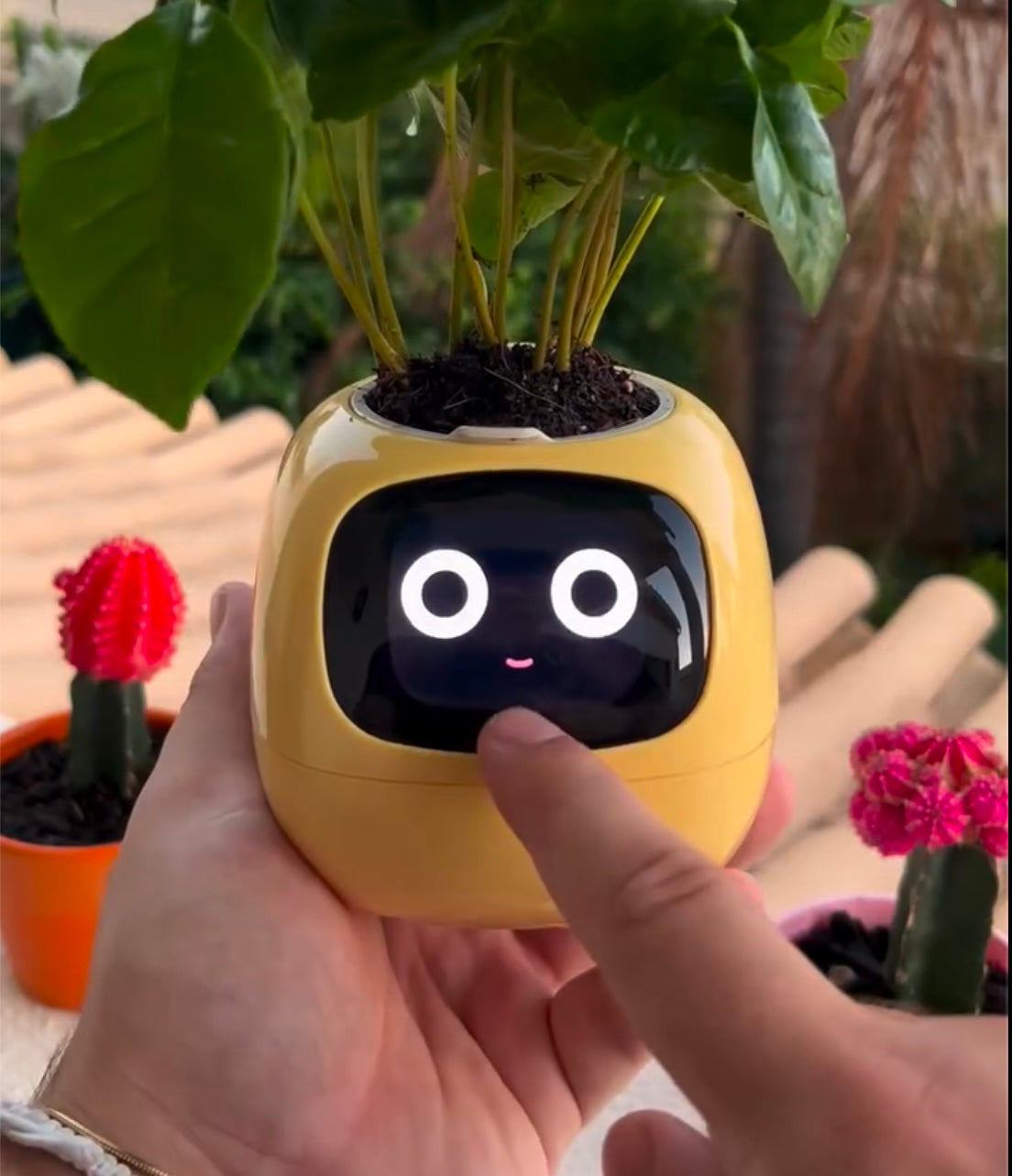 PlantBuddy AI 🌿🤖 – Your Smart Plant Companion!