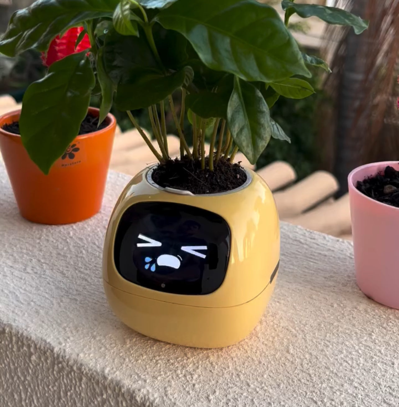 PlantBuddy AI 🌿🤖 – Your Smart Plant Companion!