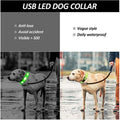 LED Glowing Dog Collar Adjustable Flashing Rechargea Luminous Collar Night Anti-Lost Dog Light HarnessFor Small Dog Pet Products