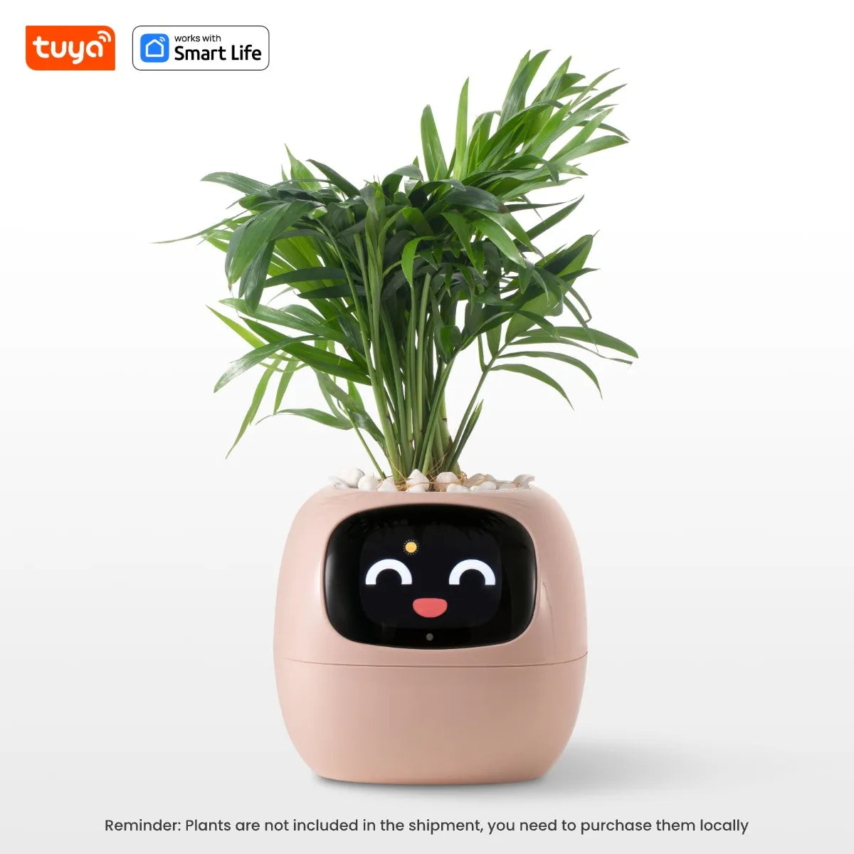 PlantBuddy AI 🌿🤖 – Your Smart Plant Companion!