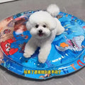 Summer Pet Inflatable Water-filled Mat Thickened And Durable Pet Breathable Water Mat To Cool Down Interactive Cat Pad Supplies