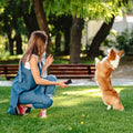 Pet Dog Barking Repeller Training Device LED Ultrasonic Anti Bark Stop Trainer No Battery