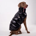 S-2XL Large Dog Winter Thick Down Coat High Collar Warm Windproof Adjustable Pet Clothes 2 Legged Padded Dog Jacket Vest