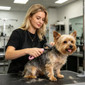 Cat Hair Removal Comb Dog Hair Removal Brush Stainless Steel Double Sided Pet Grooming Brush Removing Tangles Cat Accessories