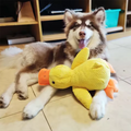 Hot pet Plush Toy Dog Calming Duck Stuffed Duck Toys Chew Toy Durable Squeaky for Puppy Pet Teeth Cleaning Chew Toy Pet Supplie
