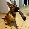 Funny Interactive Dog Toys Cigar Design Plush Squeaky Pet Toys Grinding Teeth Creative Chew Cool Stuffed Gifts for Dog Birthday