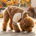 Warm Pet Baseball Jackets Thicken Comfortable Two-Legged Dog Clothing Embroidered Patterns Pet Baseball Uniform Pet Show
