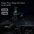 LED Glowing Dog Collar Adjustable Flashing Rechargea Luminous Collar Night Anti-Lost Dog Light HarnessFor Small Dog Pet Products