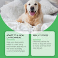 Pet Pheromones Calming Diffuser Cat Dog Calm Relaxing Emotion Relief Soothing Pheromone Plug-In Relaxants Refill Calming Spray