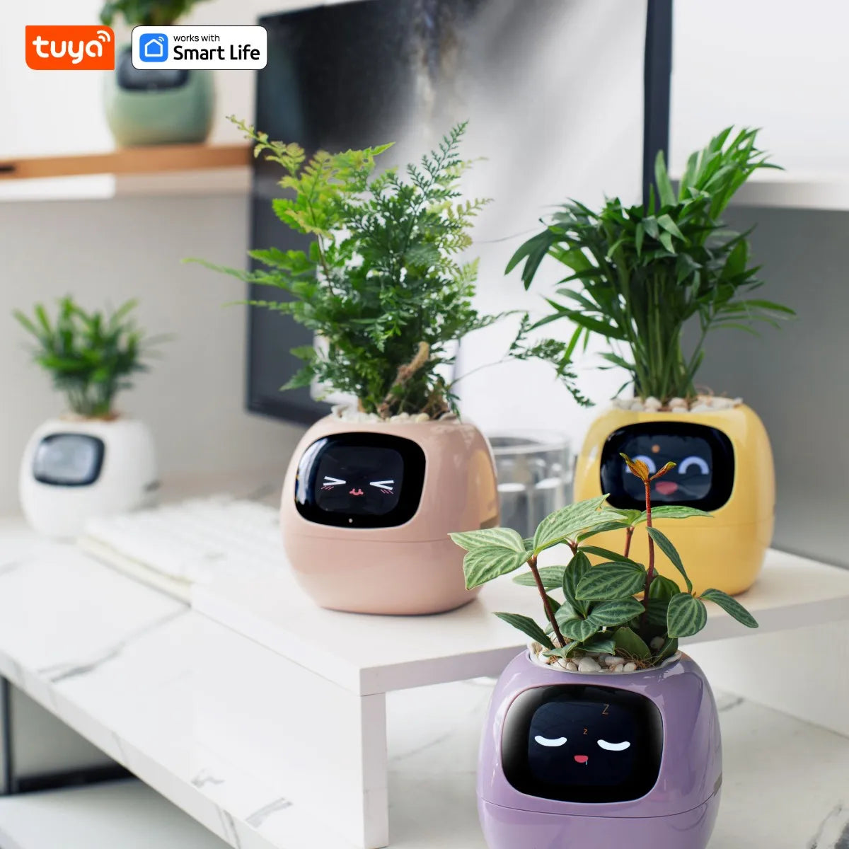 PlantBuddy AI 🌿🤖 – Your Smart Plant Companion!