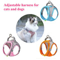 Cat Dog Toys for Aggressive Chewers Cats Dogs,Chew Squeak Toy Cats Dogs Interactive Plush Doll Pet Products