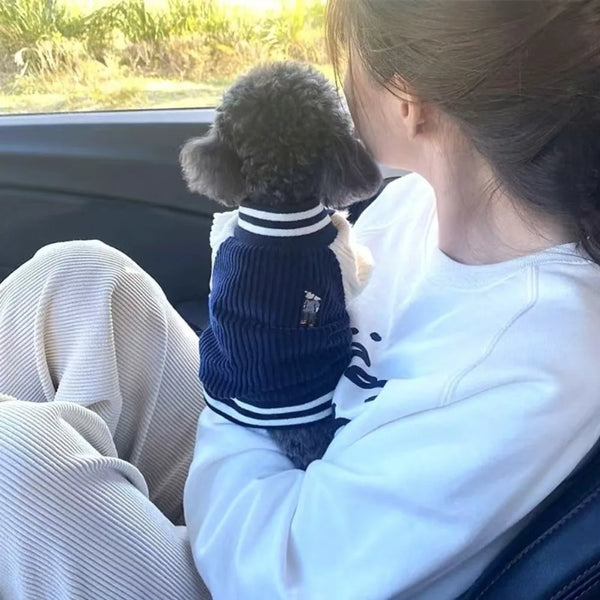 Classic Baseball Jacket for Your Pet's Cozy Comfort