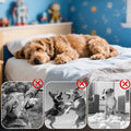 Pet Calming Diffuser with 2PCS Soothing Liquid 3 In1 Pet Pheromones Pet Relief Stress Anxiety Reduce Aggression Barking 48ml/Pc