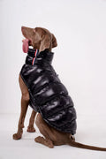 S-2XL Large Dog Winter Thick Down Coat High Collar Warm Windproof Adjustable Pet Clothes 2 Legged Padded Dog Jacket Vest
