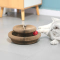 Foldable Cat Scratcher with Bell & Catnip Magic Organ Cat Scratching Board Accordion Toy Cats Grinding Claw Scratching Post Toys