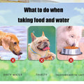 TPE dog bowl cat bowl wear-resistant and durable pet folding bowl travel outdoor drinking water feeding portable pet bowl