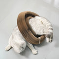 Foldable Cat Scratcher with Bell & Catnip Magic Organ Cat Scratching Board Accordion Toy Cats Grinding Claw Scratching Post Toys
