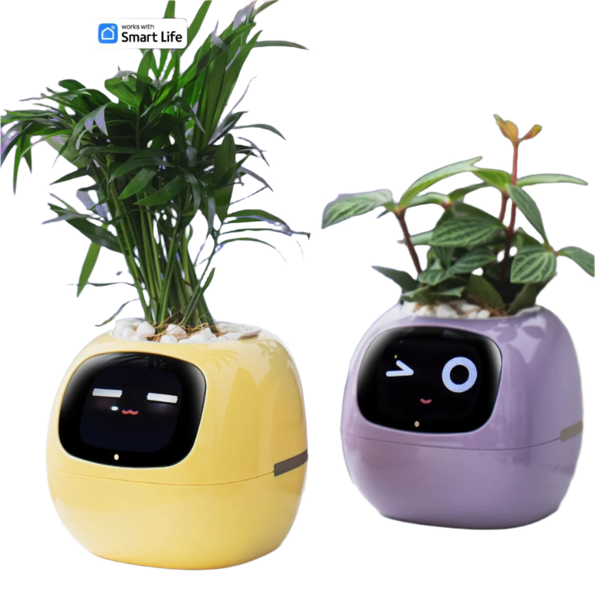 PlantBuddy AI 🌿🤖 – Your Smart Plant Companion!