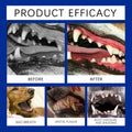 Pet Tooth Cleaning Powder Teeth Stain Remover Eliminates Bad Breath Tartar Remover Teeth Stone Cleaning Dog Dental Care Powder