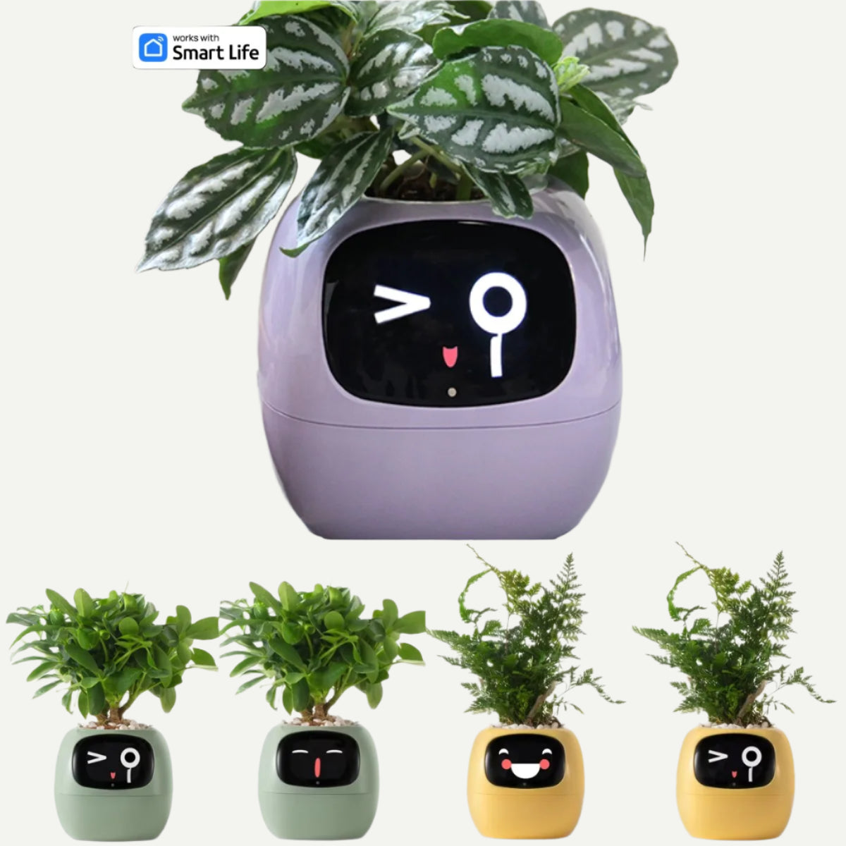 PlantBuddy AI 🌿🤖 – Your Smart Plant Companion!