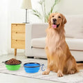 TPE dog bowl cat bowl wear-resistant and durable pet folding bowl travel outdoor drinking water feeding portable pet bowl