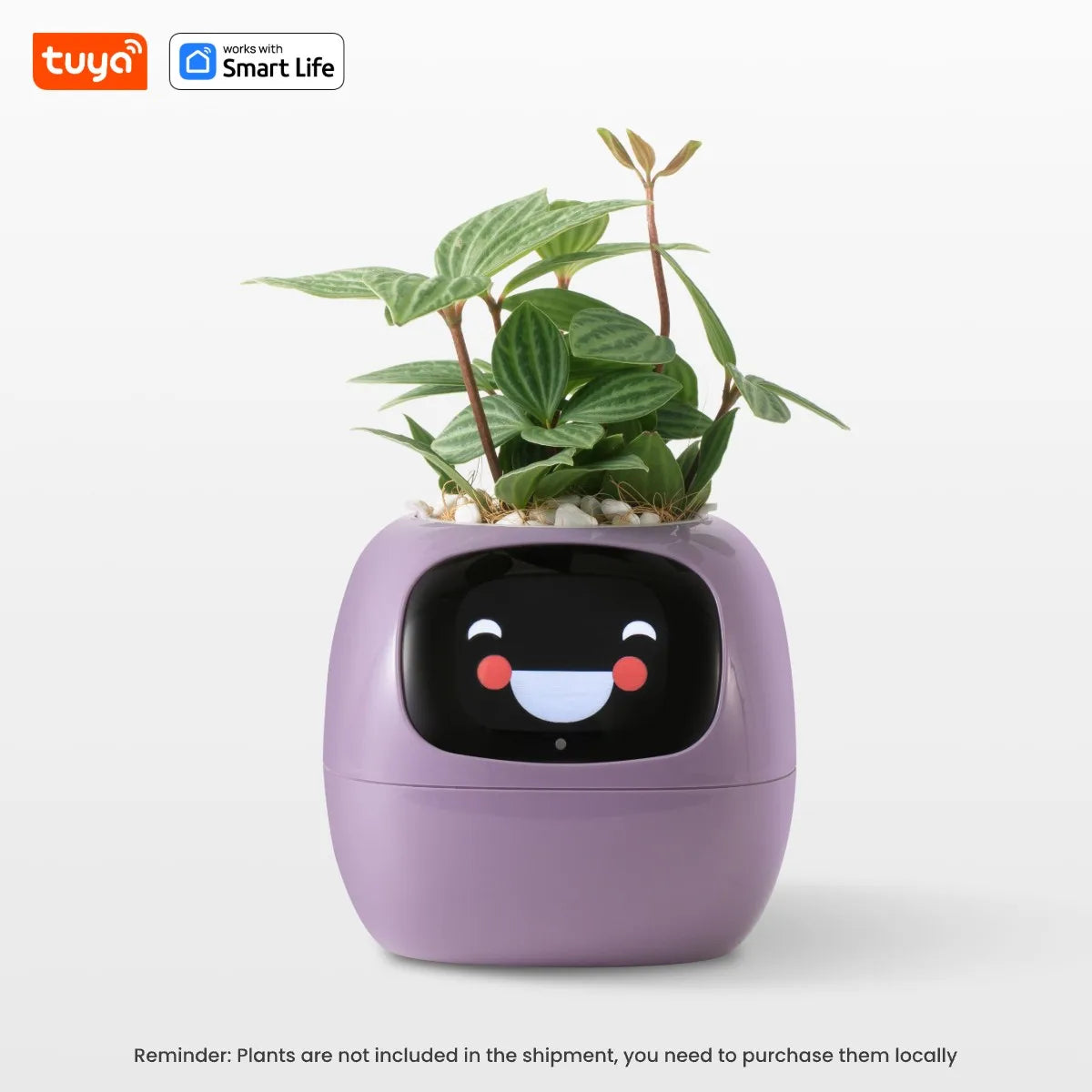 PlantBuddy AI 🌿🤖 – Your Smart Plant Companion!