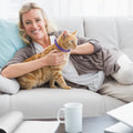 4Pcs Cat Calming Collar Cat Pheromone Collar Adjustable Calming Pheromone Collar Helps with Aggression for All Types of Cats