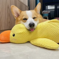 Hot pet Plush Toy Dog Calming Duck Stuffed Duck Toys Chew Toy Durable Squeaky for Puppy Pet Teeth Cleaning Chew Toy Pet Supplie