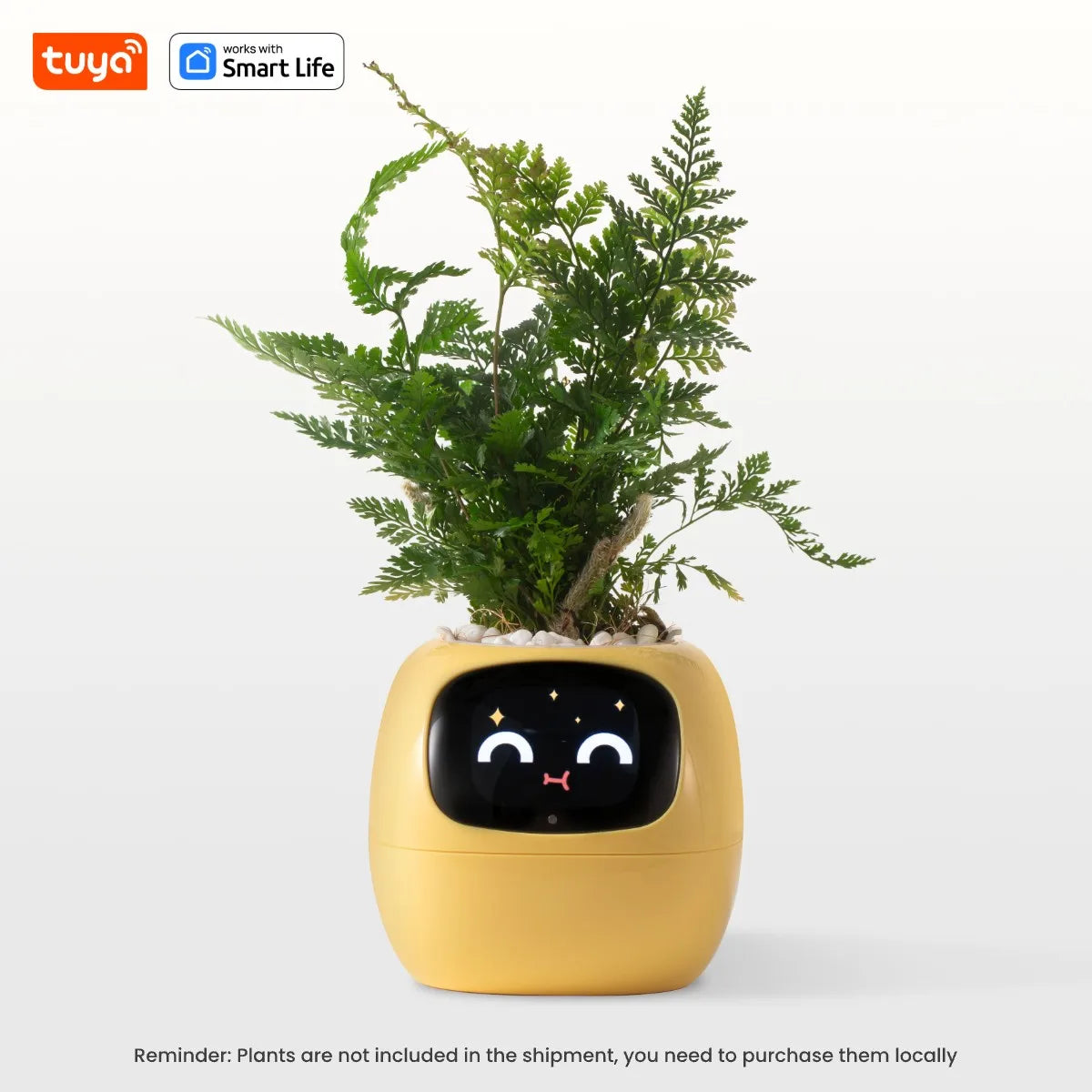 PlantBuddy AI 🌿🤖 – Your Smart Plant Companion!