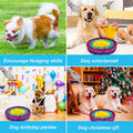 Pet Snuffle Mat Indoor Dog Training Snuff Mat for Cats Dogs Stress Relief and Slow Feeding Mat Washable Dog Toy Pet Supplies