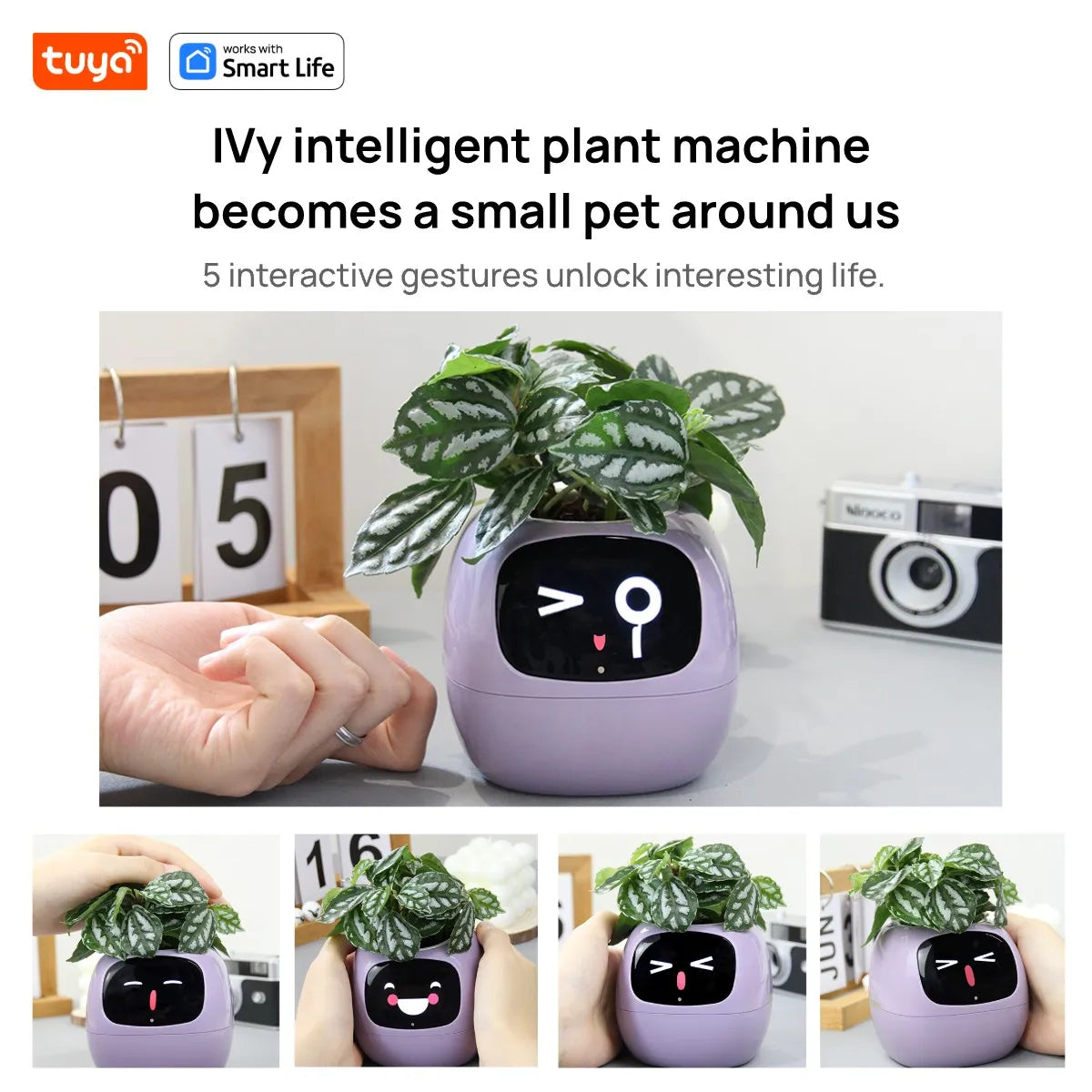 PlantBuddy AI 🌿🤖 – Your Smart Plant Companion!