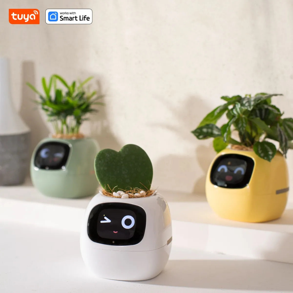 PlantBuddy AI 🌿🤖 – Your Smart Plant Companion!