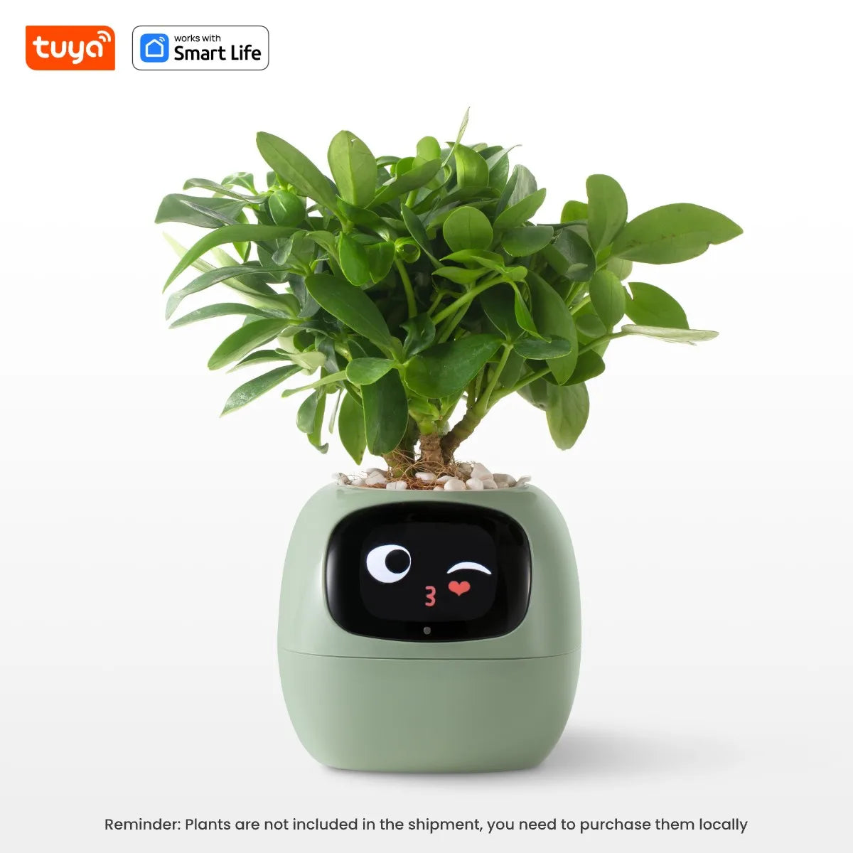 PlantBuddy AI 🌿🤖 – Your Smart Plant Companion!