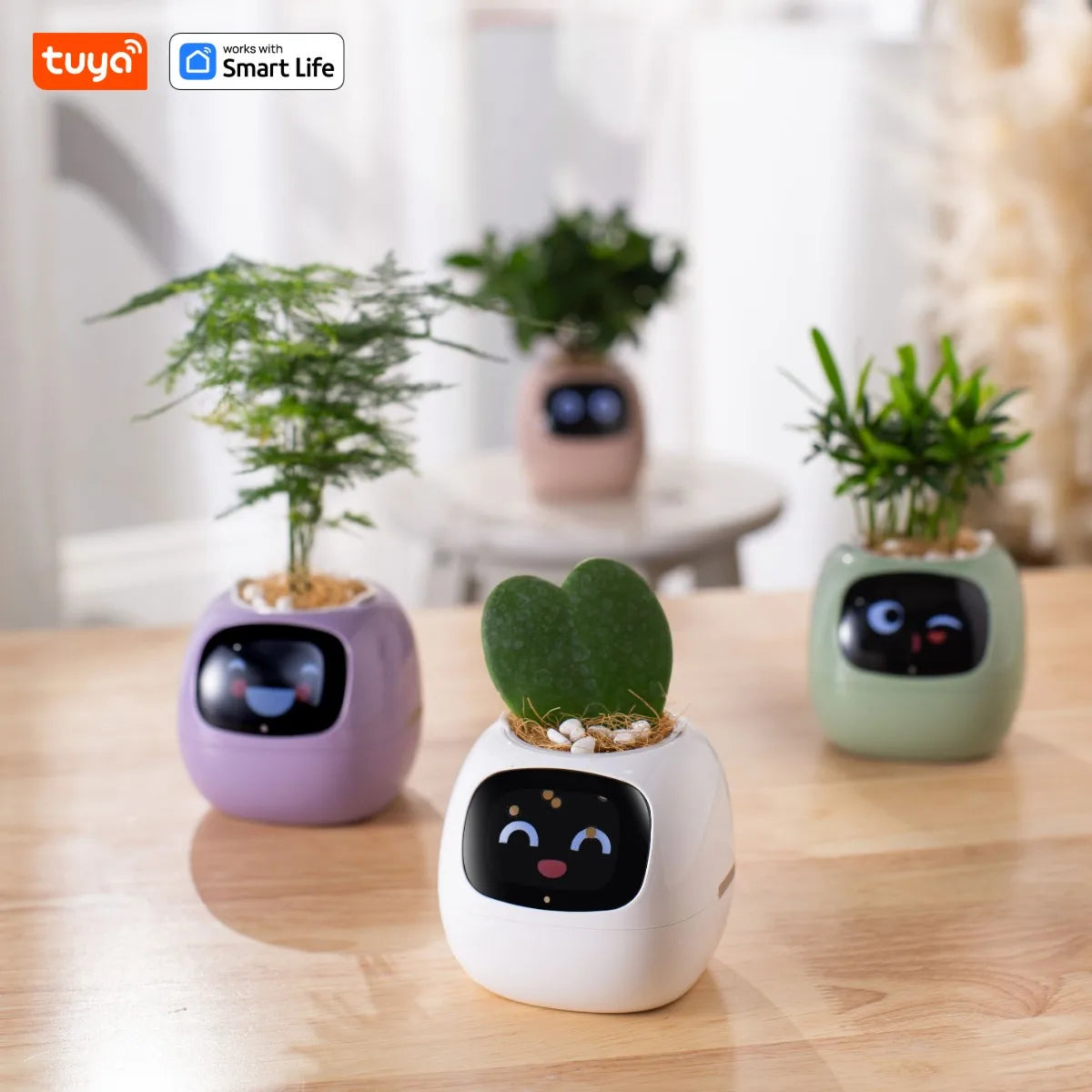 PlantBuddy AI 🌿🤖 – Your Smart Plant Companion!