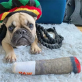 Funny Interactive Dog Toys Cigar Design Plush Squeaky Pet Toys Grinding Teeth Creative Chew Cool Stuffed Gifts for Dog Birthday