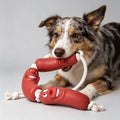 Cute Funny Sausage Dog Rope Toy Interactive Tug of War Toy for Small Medium Dogs,Cotton Teething Grinding,Boredom Relief Pet Toy