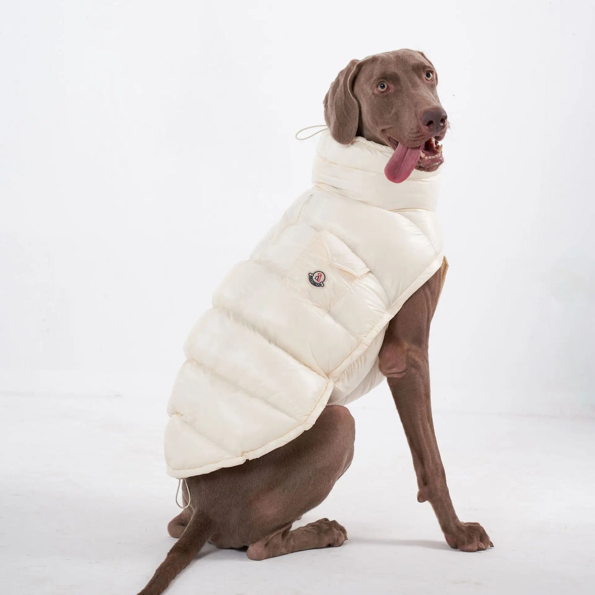 S-2XL Large Dog Winter Thick Down Coat High Collar Warm Windproof Adjustable Pet Clothes 2 Legged Padded Dog Jacket Vest