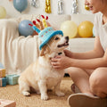 Pet Birthday Party Hat Toy Set For Cats and Dogs Elastic Comfortable Wear Bite Resistant Durable Photo Prop Gift