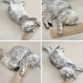2 in 1 Cat Toy Pillow & Scratching Mat Interactive Cat Toys for Indoor Cats Kitten Play Calming Pet Gift