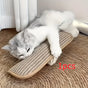 2 in 1 Cat Toy Pillow & Scratching Mat Interactive Cat Toys for Indoor Cats Kitten Play Calming Pet Gift