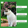 Cat Calming Pheromone Diffuser Kit with Refill Relaxing Anti-Anxiety Stress Relief Soothing Comforting Mood for Pets