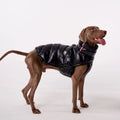 S-2XL Large Dog Winter Thick Down Coat High Collar Warm Windproof Adjustable Pet Clothes 2 Legged Padded Dog Jacket Vest